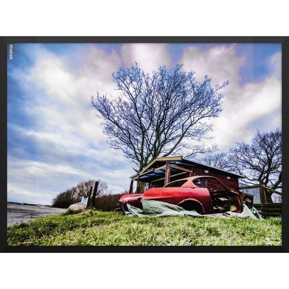 Abandonedcarfotoplakat-31