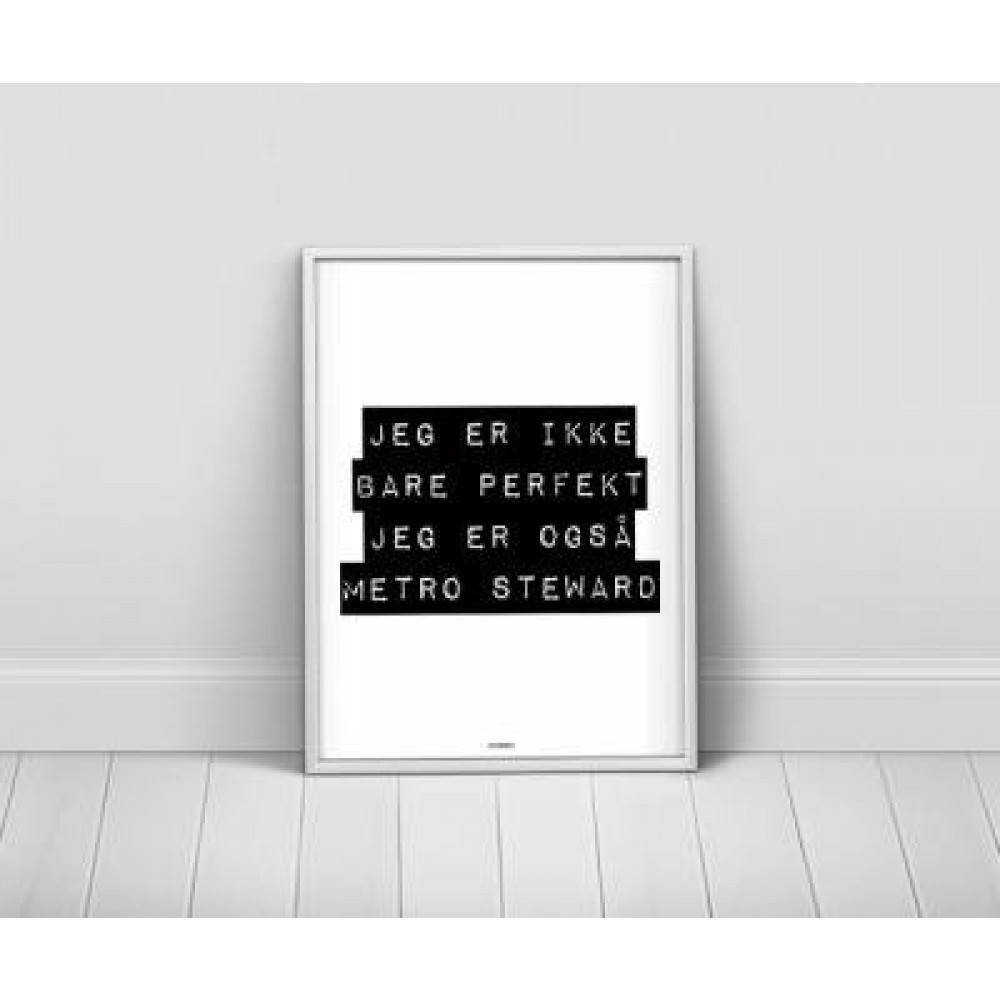 Jegermetrosteward-31