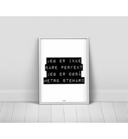 Jegermetrosteward-20