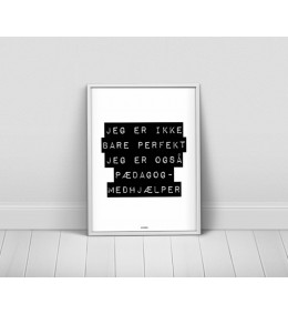 Jegerpdagogmedhjlper-20