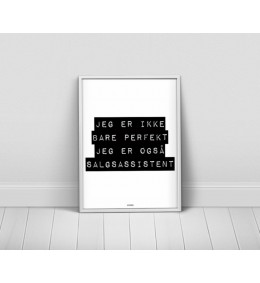 Jegersalgsassistent-20